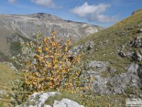 2022-10-04 Dal Redentore al Vettore 362